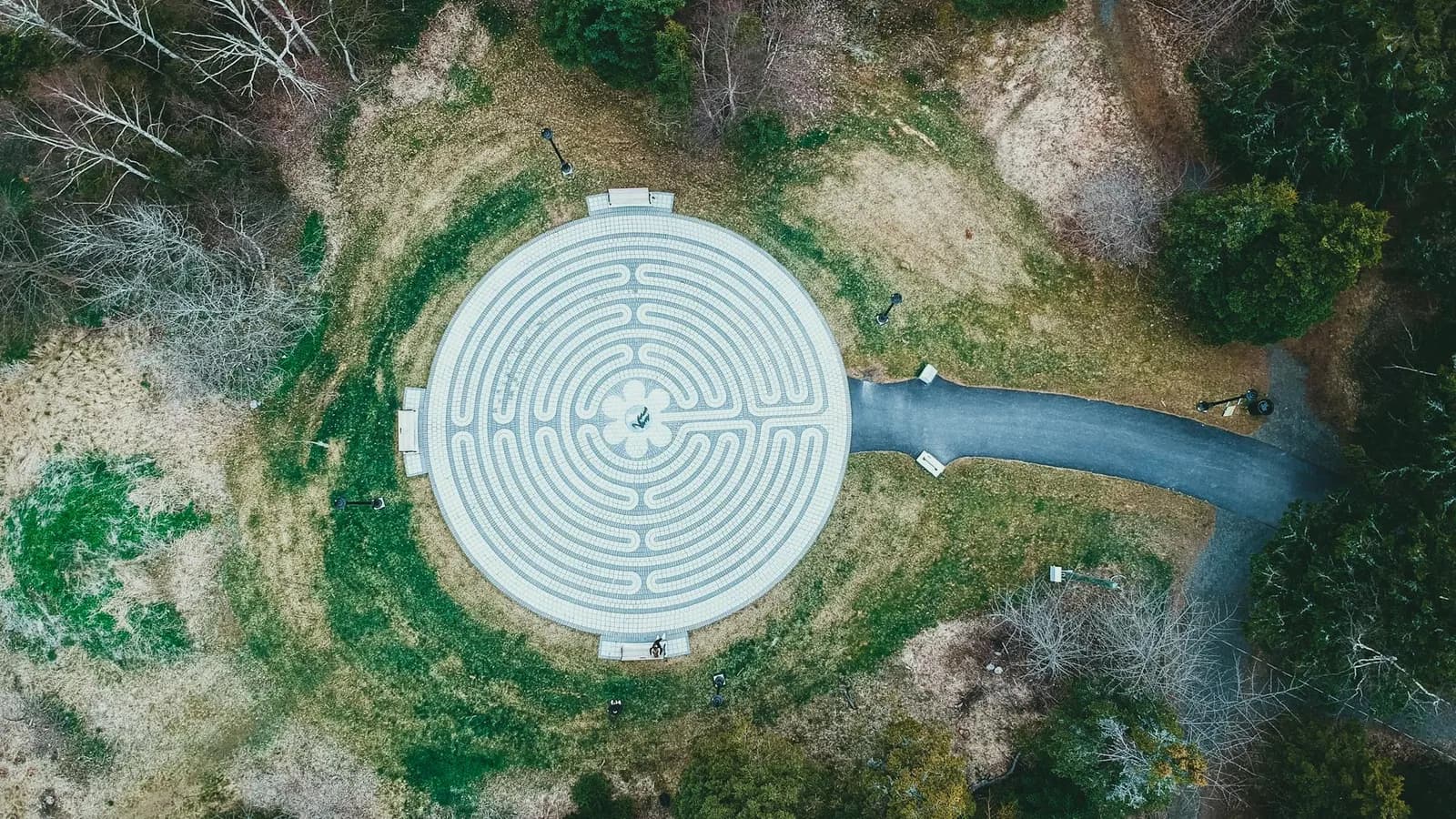 Los defectos se agrupan, y saber dónde cambia todo